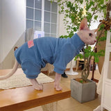 Pull pour Chat | Douillet chat doux