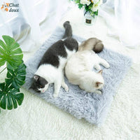 Tapis convertible pour Chat | TapoLit™ chatdoux