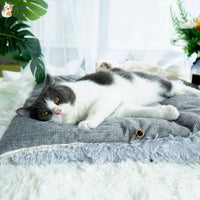 Tapis convertible pour Chat | TapoLit™ chatdoux
