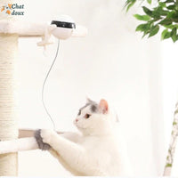 Jouet interactif à ball suspendu pour chat | FunnyBall™ chat doux