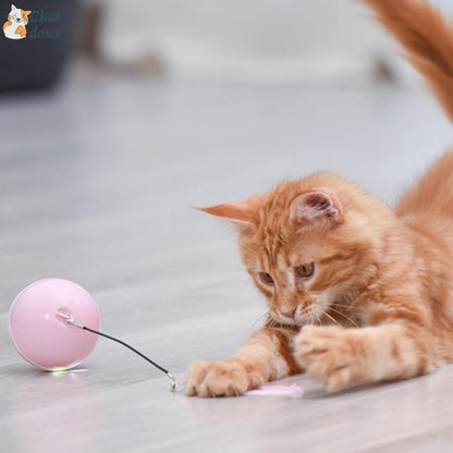 Balle rotative pour chat | CatyBall™ chat doux