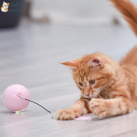 Balle rotative pour chat | CatyBall™ chat doux