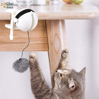 Jouet interactif à ball suspendu pour chat | FunnyBall™ chat doux