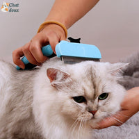 Brosse pour chat | Poiliss ™ chat doux