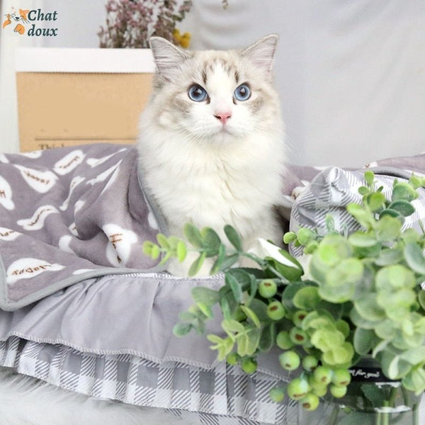 Couverture pour Chat | Doucinette™ chat doux