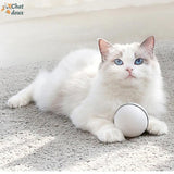 Balle rotative pour chat | CatyBall™ chat doux