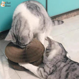 Griffoir innovant pliable et recyclable et jouet interactif pour chat | CartyGrat™ chat doux