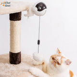 Jouet interactif à ball suspendu pour chat | FunnyBall™ chat doux