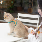 Harnais chat - Ensemble d'harnais avec laisse |  FunyWalk™ chat doux