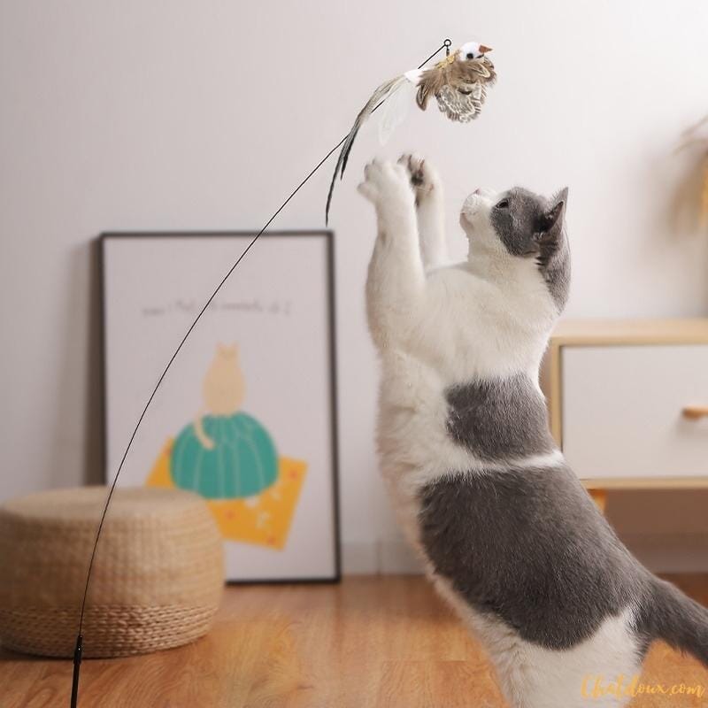 CANNE A PECHE CHAT | JOUET AMUSANT CHAT chat doux