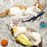 Poisson interactif pour chat | CrazyFish™ chat doux