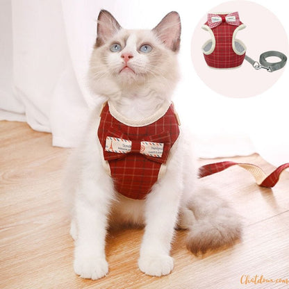 Harnais chat - Harnais avec papillon | Cutys™ chat doux