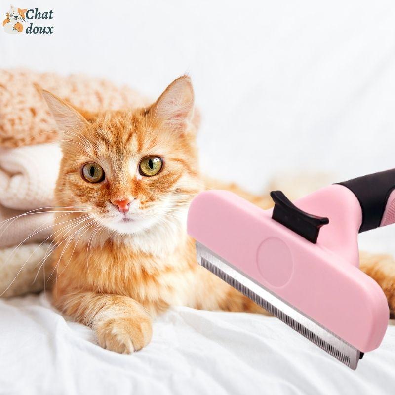 Brosse anti-poil avec support pour chat  Au Bonheur Du Chat – Au bonheur  du chat - Boutique d'accessoires pour votre chat et pour vous
