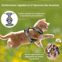 HARNAIS CHAT ANTI-FUGUE | HARNAIS GRIS AJUSTABLE chat doux