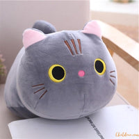 PELUCHE COUSSIN CHAT XXL