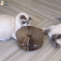Griffoir innovant pliable et recyclable et jouet interactif pour chat | CartyGrat™ chat doux